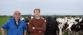 2 hommes dans un champ au mileu d'un troupeau de vaches
