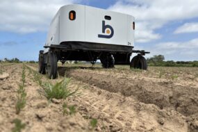 Un robot de désherbage dans un champ de légumes