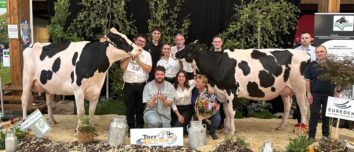Deux vaches de race Holstein entourées de personnes sur le podium d'un concours bovin