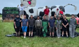Des personnes devant une vache géante fabriquée avec des rounds