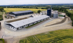 Vue aérienne d'une exploitation agricole porcine
