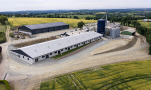 Vue aérienne d'une exploitation agricole porcine