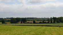 Paysage de bocage avec céréales et herbe