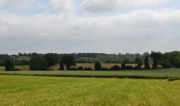 Paysage de bocage avec céréales et herbe