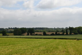 Paysage de bocage avec céréales et herbe