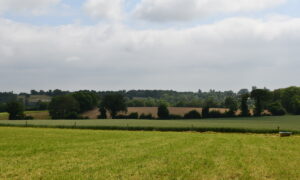Paysage de bocage avec céréales et herbe