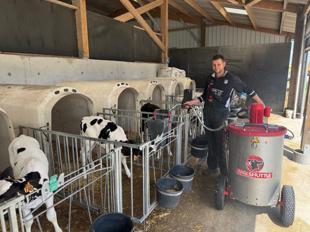 Un éleveur en train de distribuer à l'aide d'un taxi lait la buvée à des veaux de race Holstein logés en niche individuelle