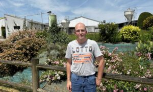 Un homme devant un jolie parterre de fleurs dans un élevage de porc