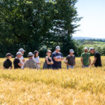 Un groupe de personne dans un champ de céréales