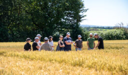 Un groupe de personne dans un champ de céréales