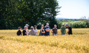 Un groupe de personne dans un champ de céréales