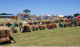 Des tracteurs dans un champ