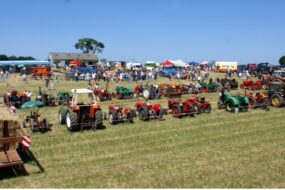 Des tracteurs dans un champ