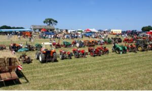 Des tracteurs dans un champ