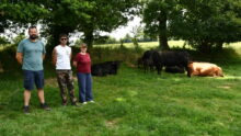 Des personnes devant des bovins en plein air