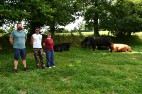 Des personnes devant des bovins en plein air