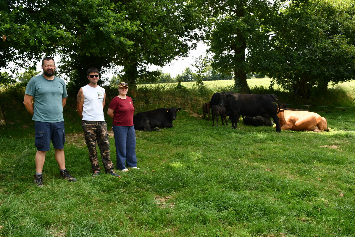 Des personnes devant des bovins en plein air - Illustration L’Angus, « équilibrée et fonctionnelle »