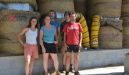 Un groupe de personnes devant des rounds de foin