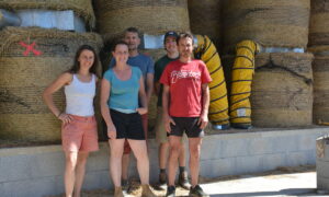 Un groupe de personnes devant des rounds de foin