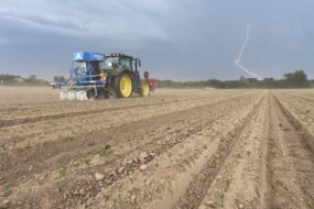 Un éclair dans un champ désherbé par une machine
