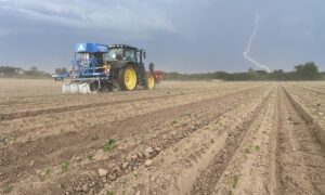 Un éclair dans un champ désherbé par une machine