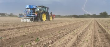 Un éclair dans un champ désherbé par une machine