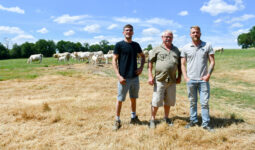 Trois éleveurs dans un champ avec des vaches Charolaises dans le fond