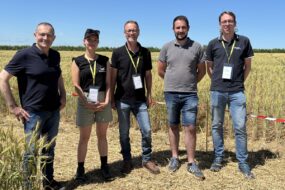 Des personnes dans un champ de blé