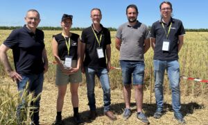 Des personnes dans un champ de blé