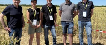 Des personnes dans un champ de blé