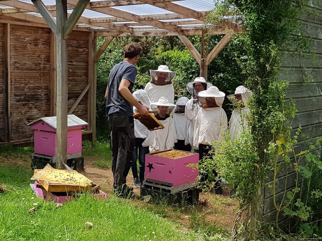 Des jeunes apiculteurs
en formation.