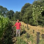 Un homme près d'une parcelle de maïs, à côté de jeunes plantations d'arbres