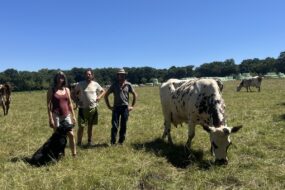 Photo ferme de la Chesnaye Juillet 2026.jpg