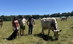 Photo ferme de la Chesnaye Juillet 2026.jpg