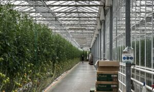 img 0493