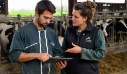 Un agriculteur avec une tablette dans les main et une conseillère dans une stabulation