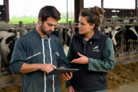 Un agriculteur avec une tablette dans les main et une conseillère dans une stabulation