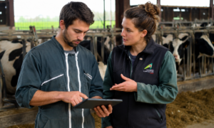 Un agriculteur avec une tablette dans les main et une conseillère dans une stabulation