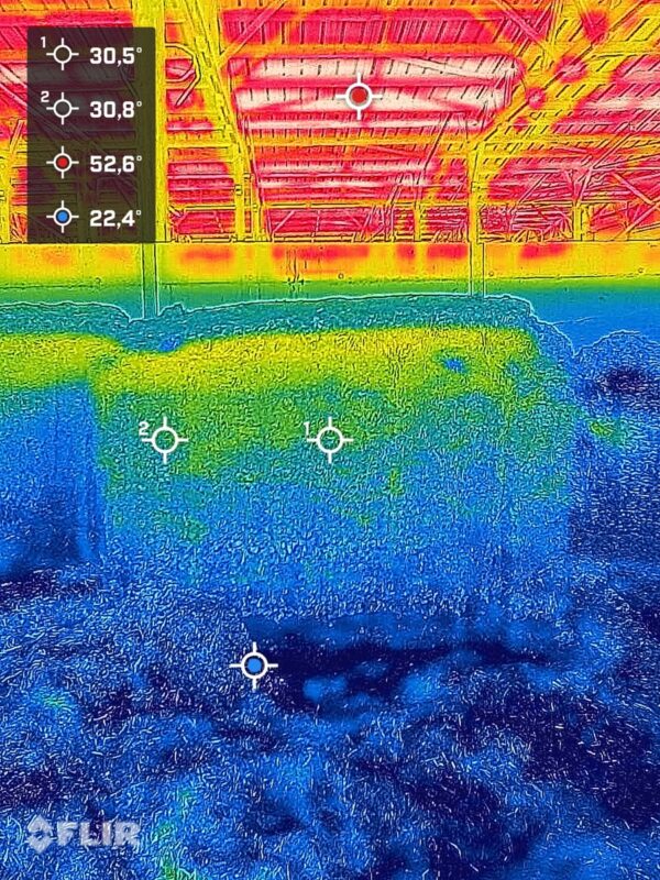 Image de caméra thermique sur les cubes de cuisine d'alimentation des bovins