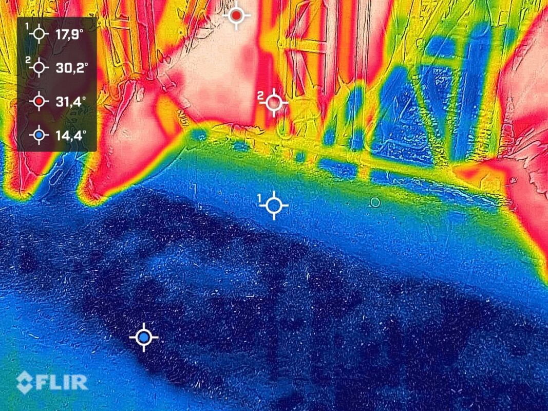 Image de caméra thermique sur l'aire d'alimentation de bovins