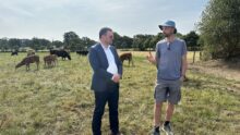 Un élu et un agriculteur dans une prairie avec un troupeau de vaches