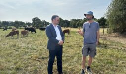 Un élu et un agriculteur dans une prairie avec un troupeau de vaches