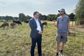Un élu et un agriculteur dans une prairie avec un troupeau de vaches