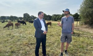 Un élu et un agriculteur dans une prairie avec un troupeau de vaches
