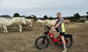Un éleveur à vélo au milieu de ses vaches