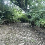 Une rivière à sec qui ressemble à un chemin creux