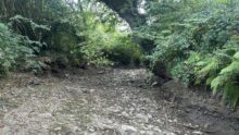 Une rivière à sec qui ressemble à un chemin creux
