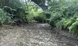 Une rivière à sec qui ressemble à un chemin creux