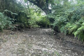 Une rivière à sec qui ressemble à un chemin creux