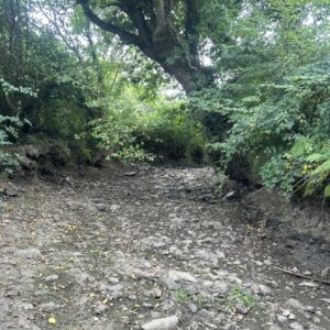 Une rivière à sec qui ressemble à un chemin creux